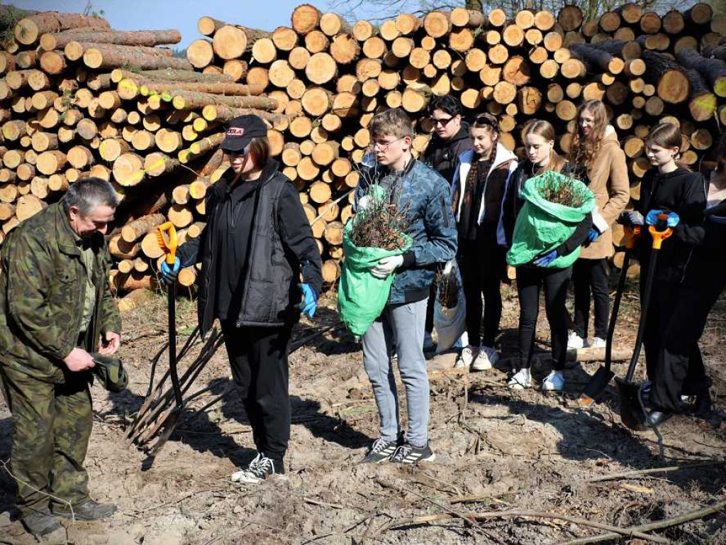 Hrubieszów: Łączą ich drzewa [ZDJĘCIA]