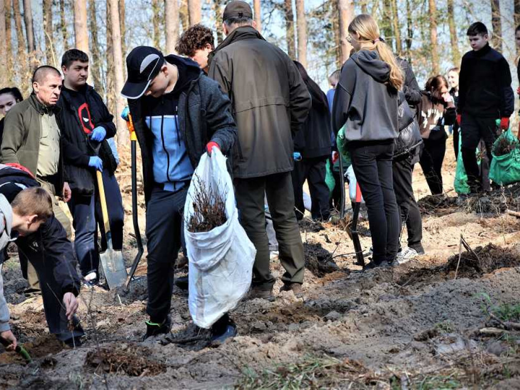 Hrubieszów: Łączą ich drzewa [ZDJĘCIA]