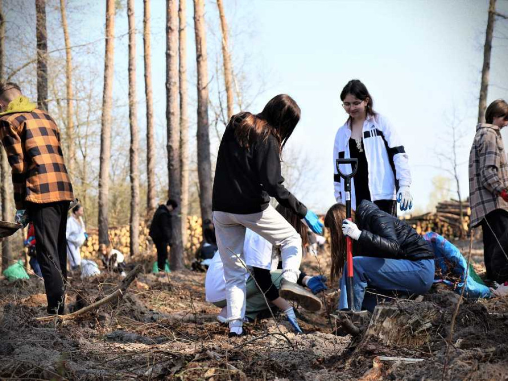 Hrubieszów: Łączą ich drzewa [ZDJĘCIA]