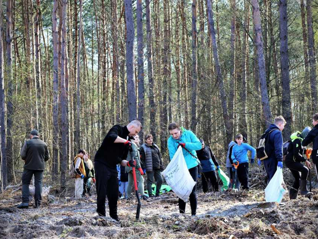 Hrubieszów: Łączą ich drzewa [ZDJĘCIA]