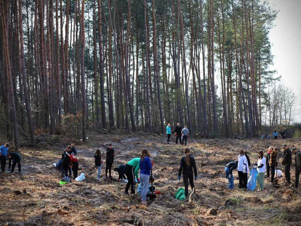 Hrubieszów: Łączą ich drzewa [ZDJĘCIA]