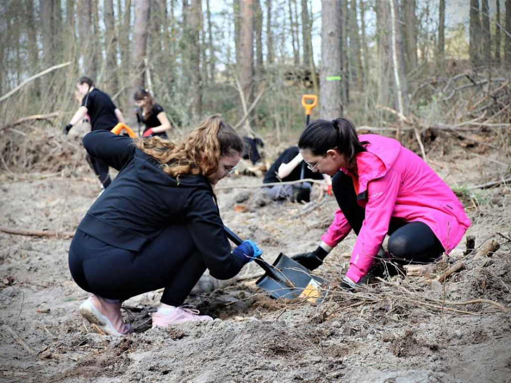 Hrubieszów: Łączą ich drzewa [ZDJĘCIA]