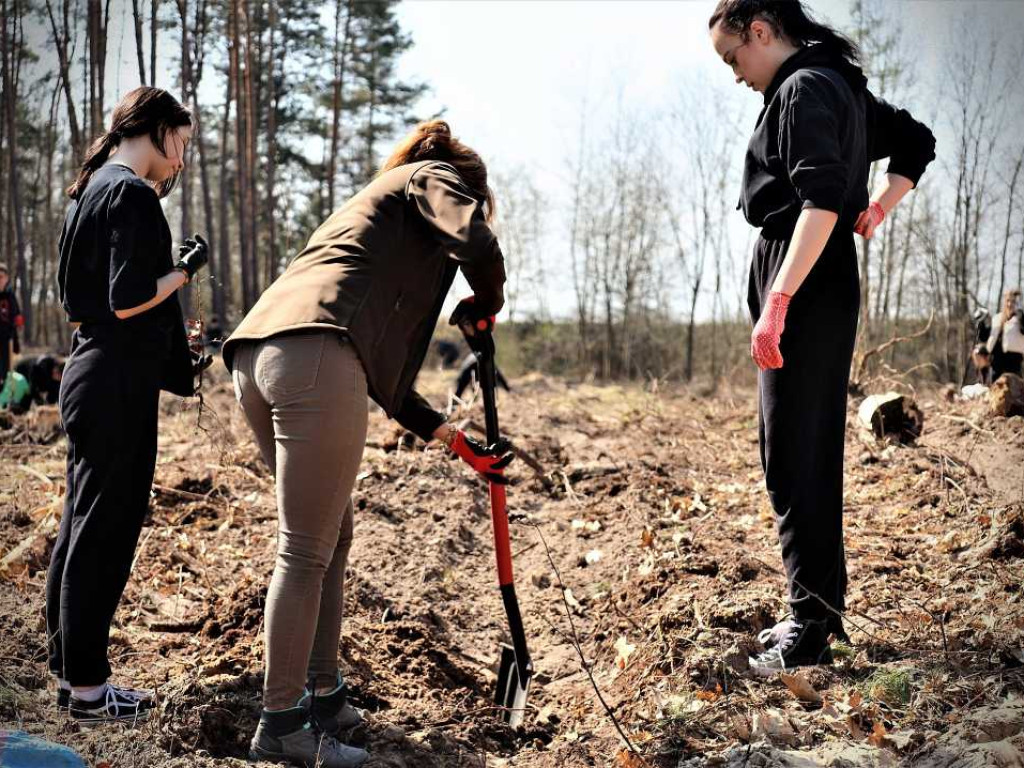 Hrubieszów: Łączą ich drzewa [ZDJĘCIA]