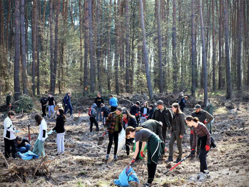 Hrubieszów: Łączą ich drzewa [ZDJĘCIA]