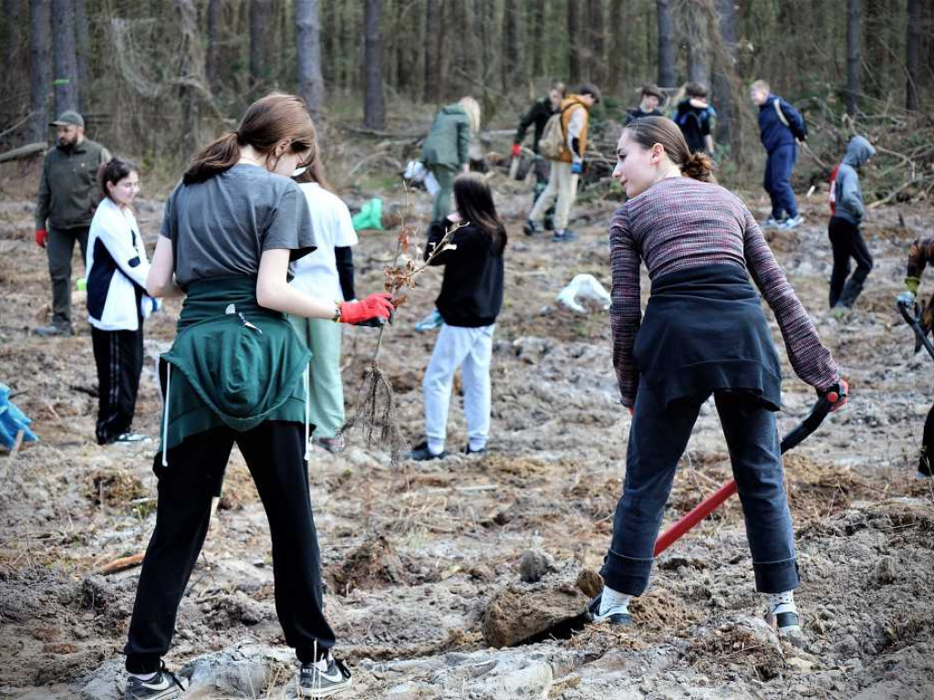 Hrubieszów: Łączą ich drzewa [ZDJĘCIA]