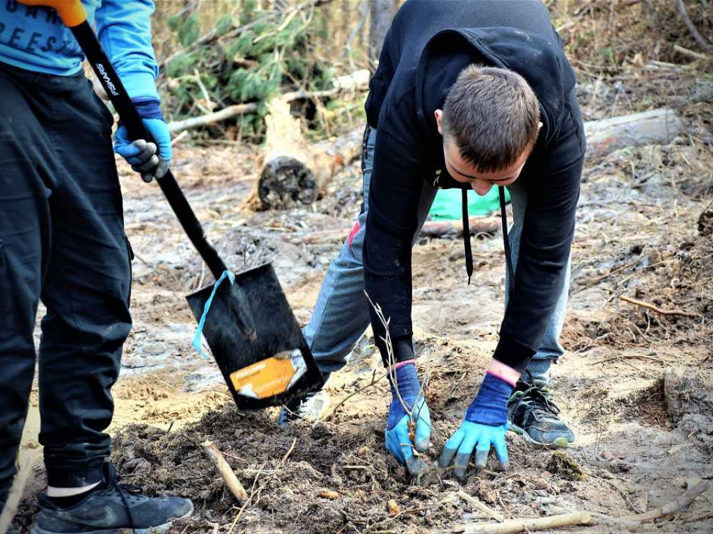 Hrubieszów: Łączą ich drzewa [ZDJĘCIA]