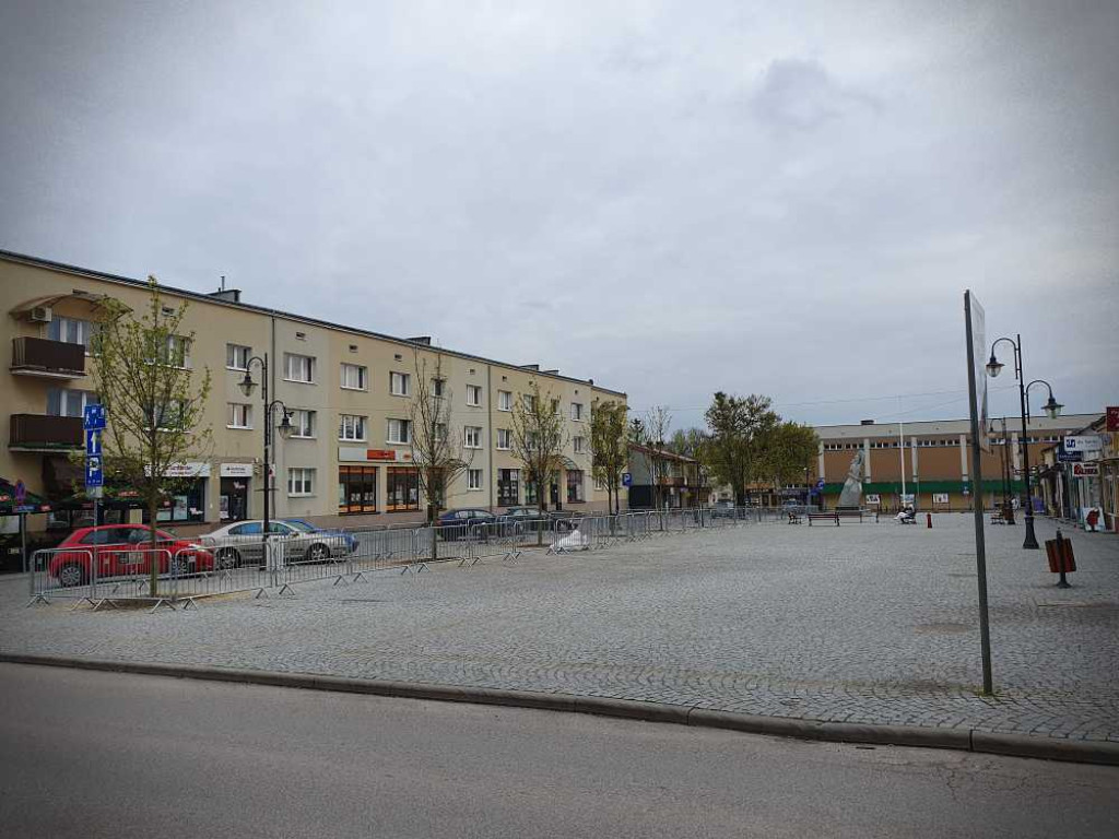 Nowe drzewa na hrubieszowskim Rynku [ZDJĘCIA]