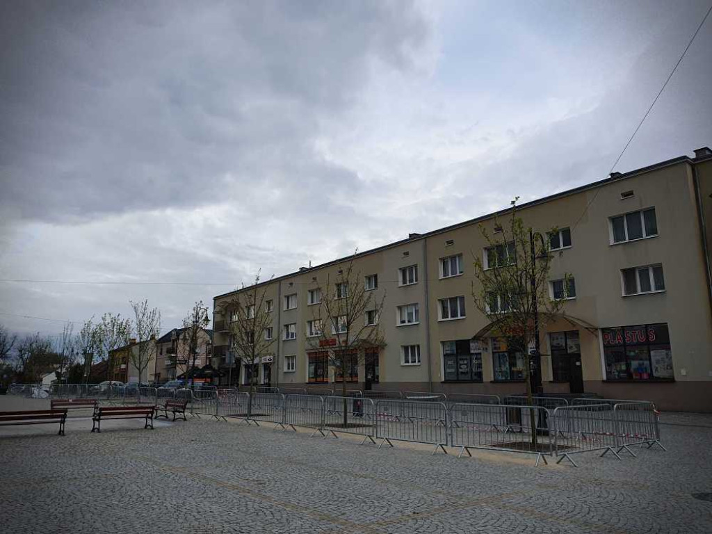 Nowe drzewa na hrubieszowskim Rynku [ZDJĘCIA]