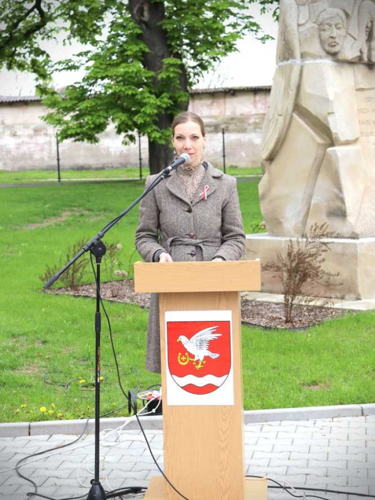 Dołhobyczów: Rocznica uchwalenia Konstytucji [ZDJĘCIA]