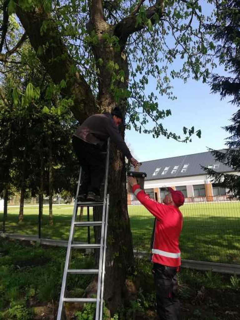 Panowie w czasie wolnym... wykonali budki dla ptaków [ZDJĘCIA]
