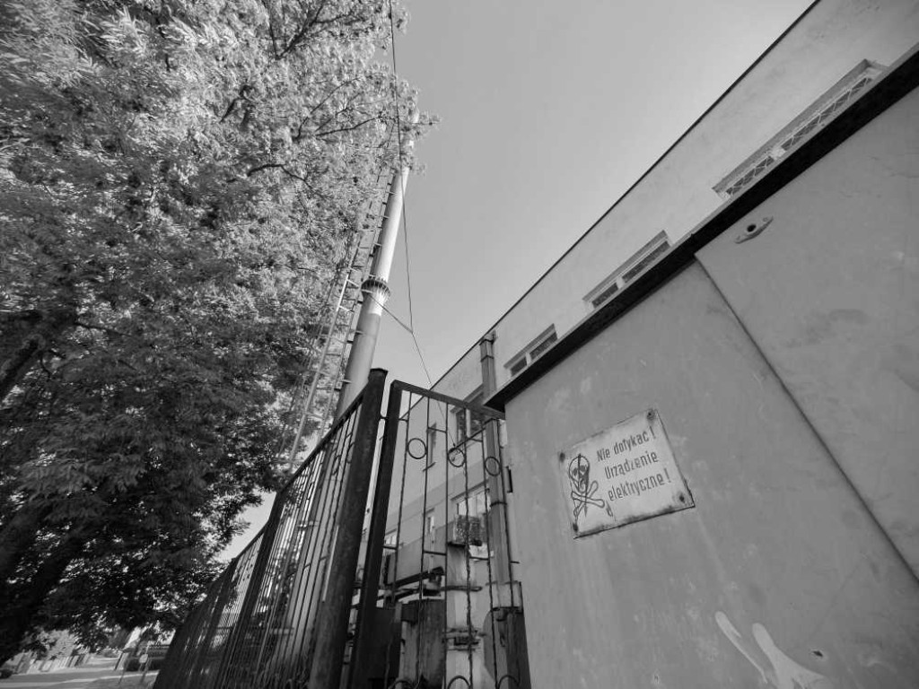 Spacer po Hrubieszowie - 1.06.2023 [ZDJĘCIA]