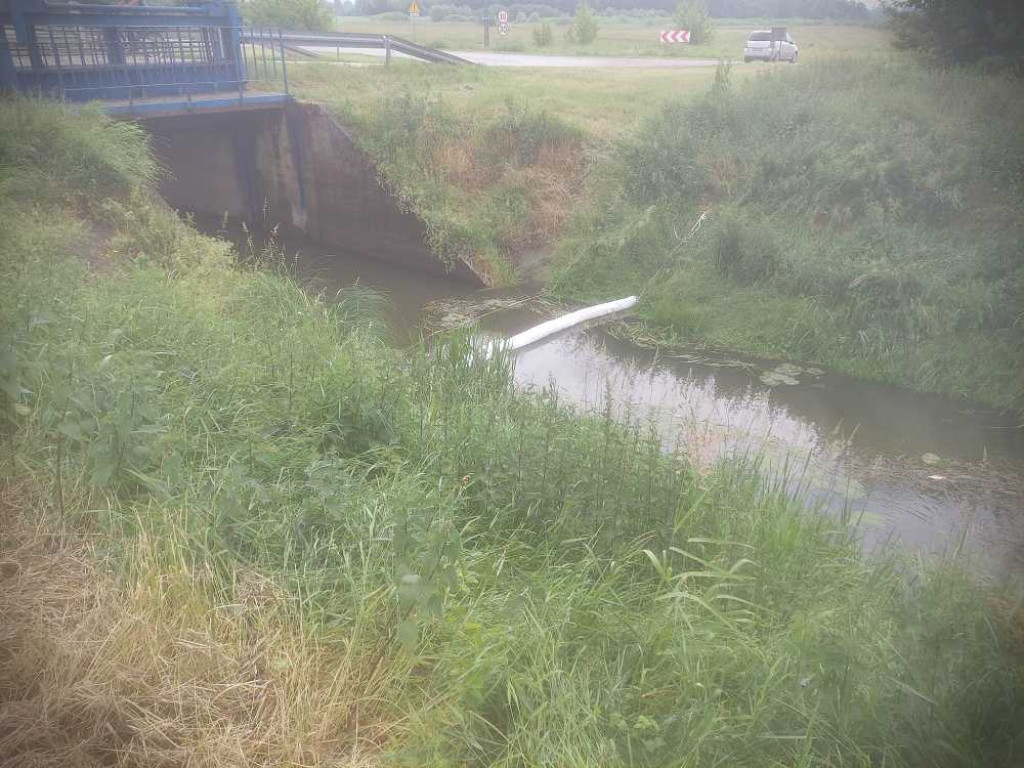 Hrubieszów: Śnięte ryby w Huczwie. Strażacy napowietrzają wodę [ZDJĘCIA]