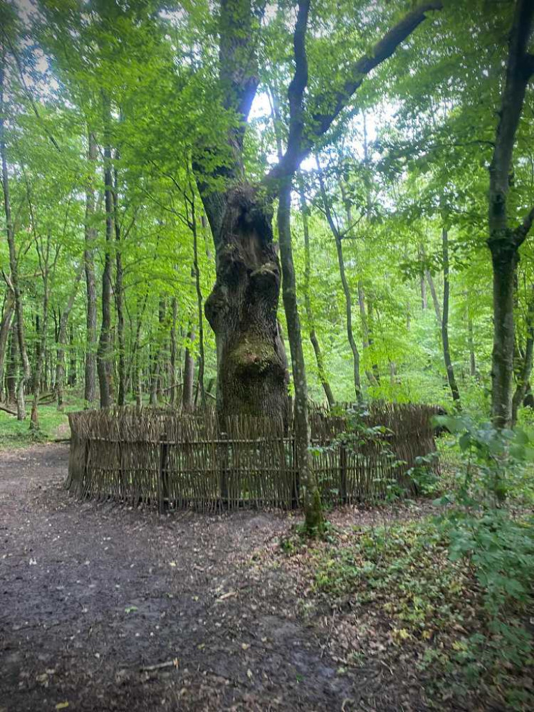 Hrubieszów: Wycieczka do Poleskiego Parku Narodowego [ZDJĘCIA]
