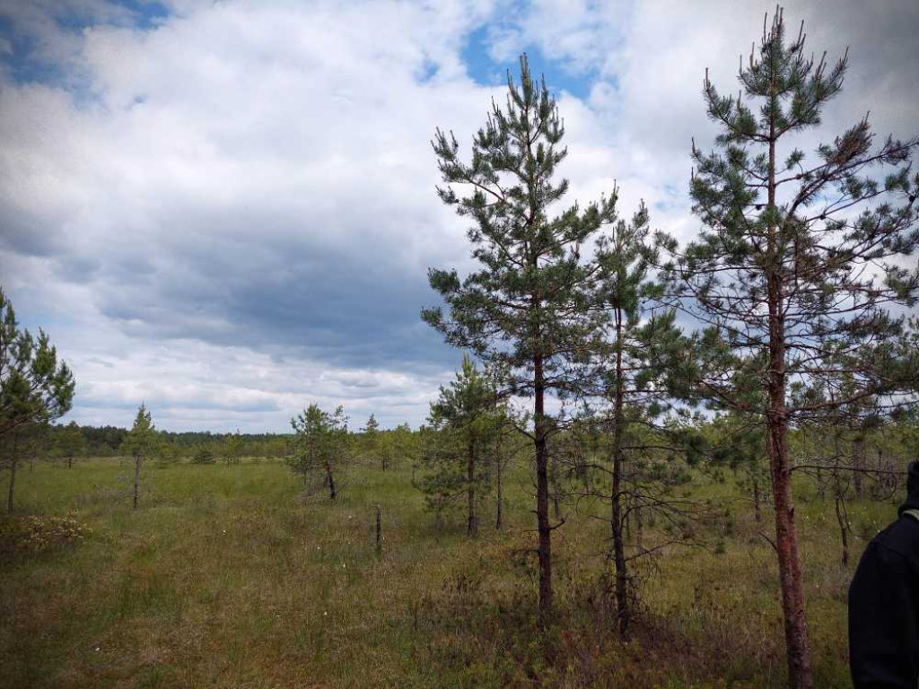 Hrubieszów: Wycieczka do Poleskiego Parku Narodowego [ZDJĘCIA]