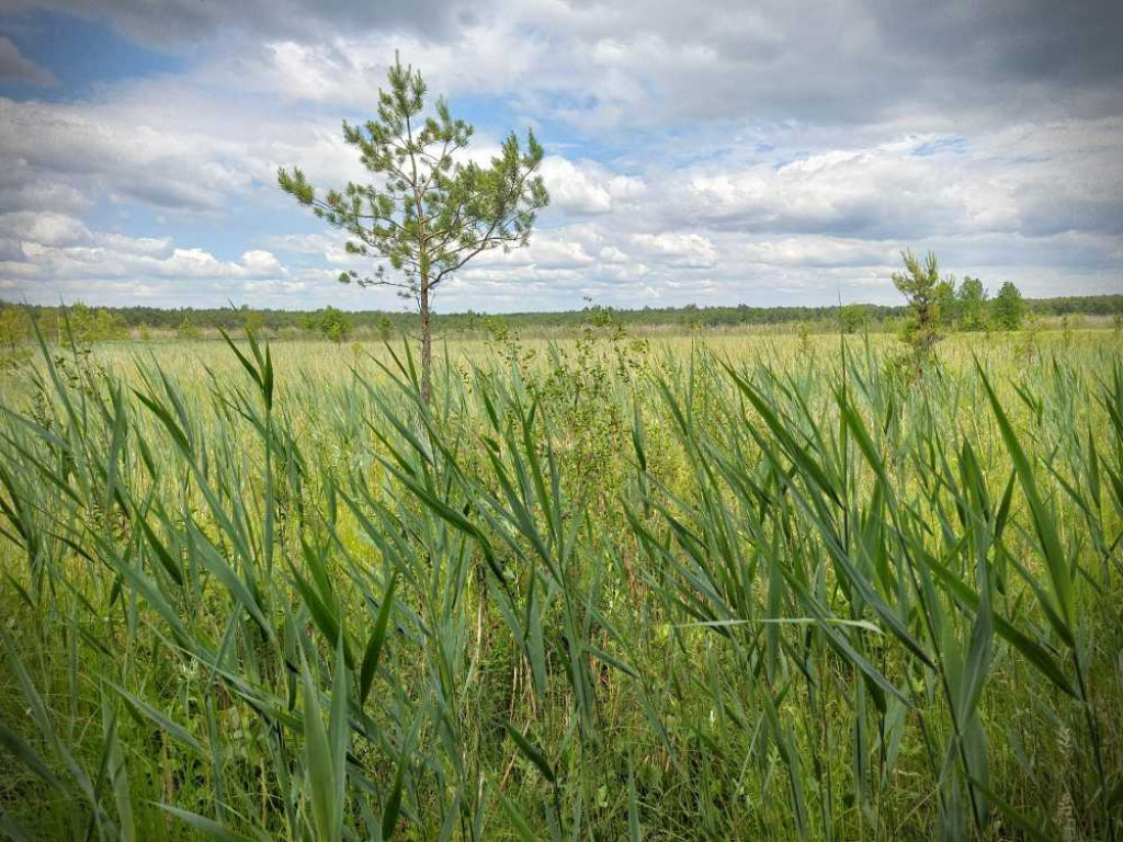 Hrubieszów: Wycieczka do Poleskiego Parku Narodowego [ZDJĘCIA]
