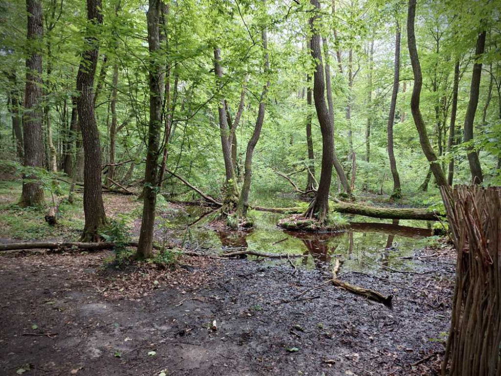 Hrubieszów: Wycieczka do Poleskiego Parku Narodowego [ZDJĘCIA]