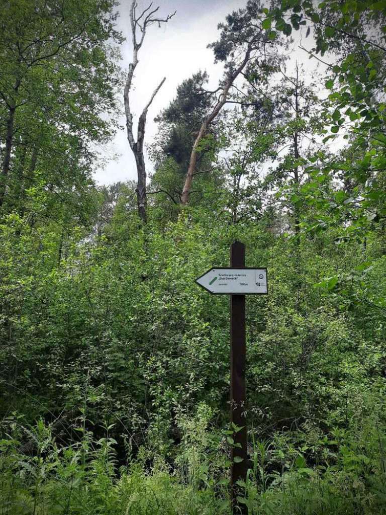 Hrubieszów: Wycieczka do Poleskiego Parku Narodowego [ZDJĘCIA]