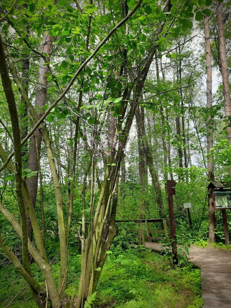 Hrubieszów: Wycieczka do Poleskiego Parku Narodowego [ZDJĘCIA]