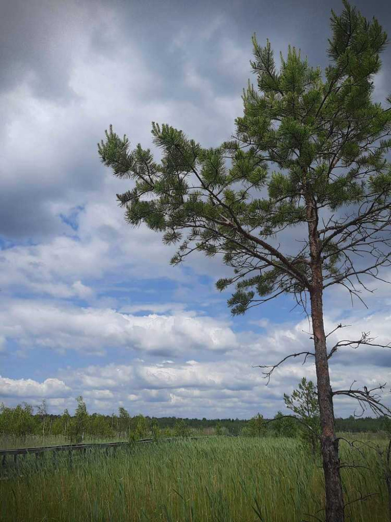 Hrubieszów: Wycieczka do Poleskiego Parku Narodowego [ZDJĘCIA]