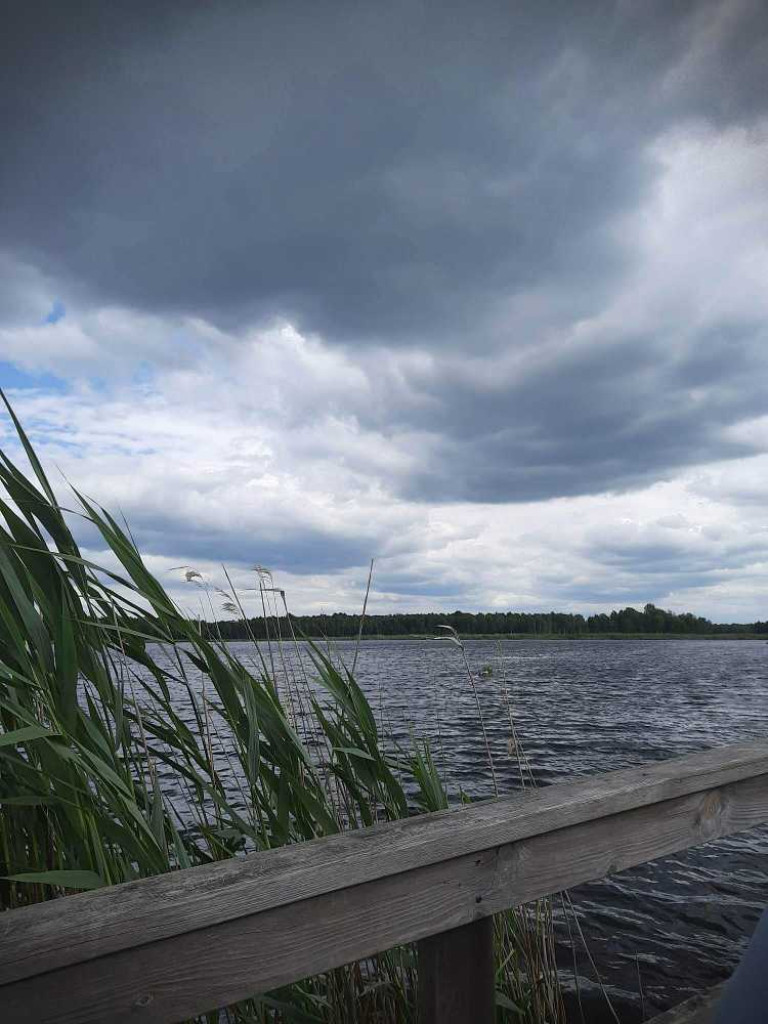 Hrubieszów: Wycieczka do Poleskiego Parku Narodowego [ZDJĘCIA]