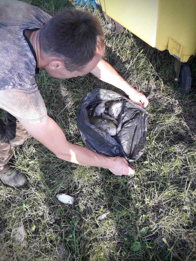 Hrubieszów: Ponad tona martwych ryb. Kto zatruł Huczwę? [ZDJĘCIA]
