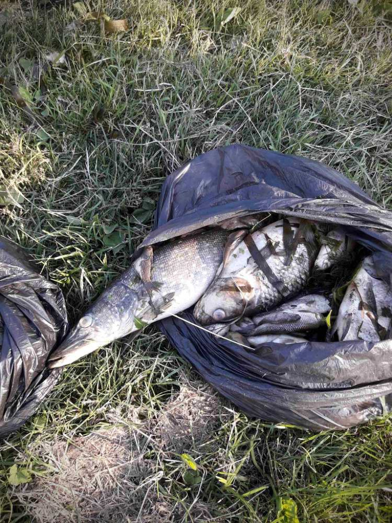Hrubieszów: Takiego zatrucia Huczwy jeszcze nie było!