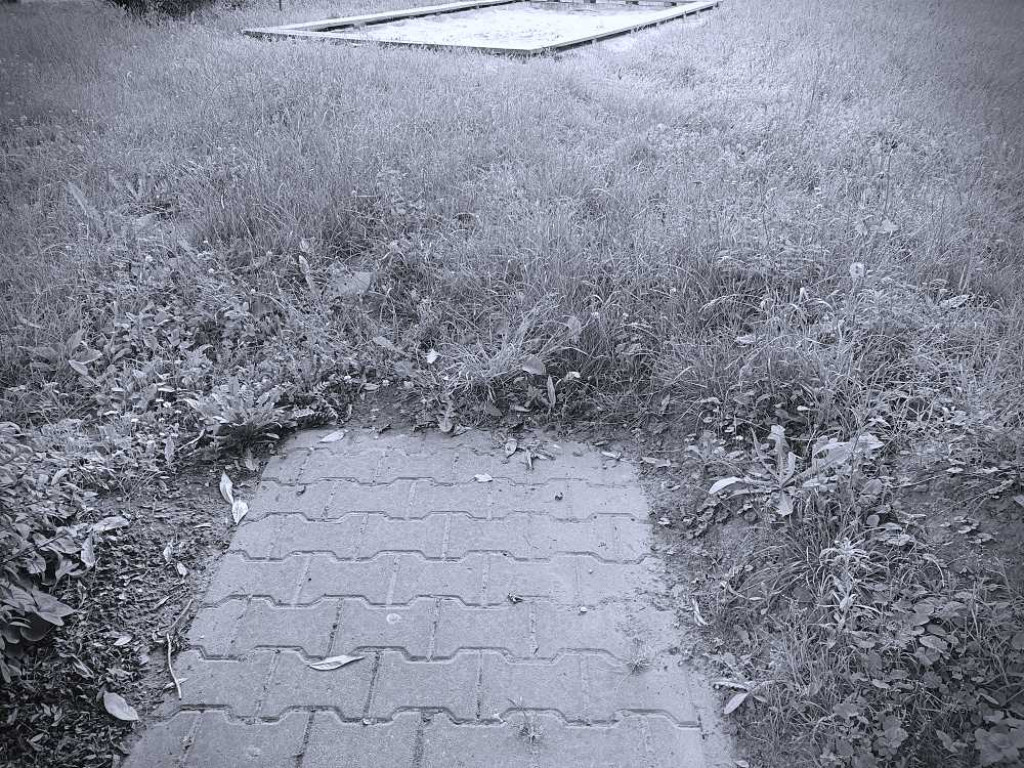 Gdzieś w Hrubieszowie... 30.06.2023 [ZDJĘCIA]
