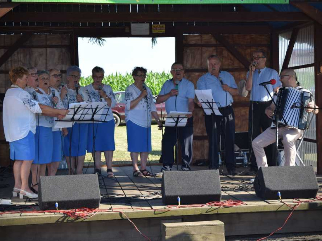 XIII Święto Suma za nami [ZDJĘCIA]