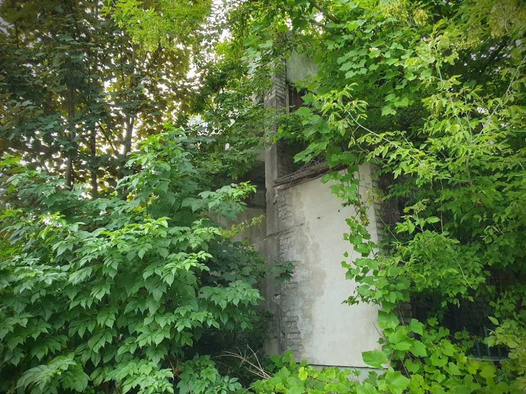 Hrubieszów: Tak dziś wygląda Hakon [ZDJĘCIA]
