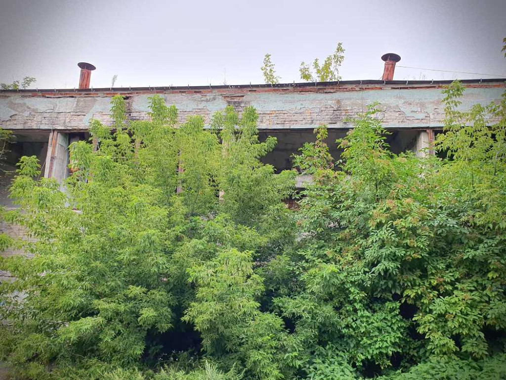Hrubieszów: Tak dziś wygląda Hakon [ZDJĘCIA]