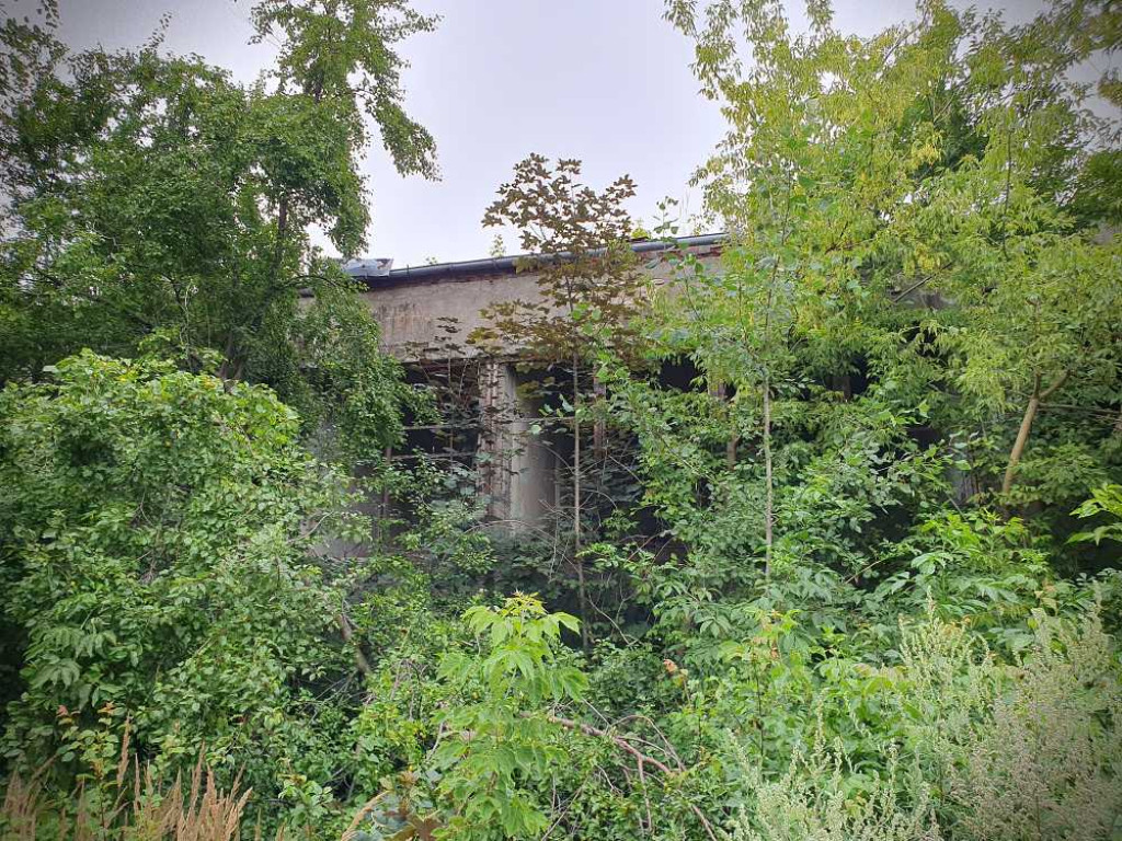 Hrubieszów: Tak dziś wygląda Hakon [ZDJĘCIA]