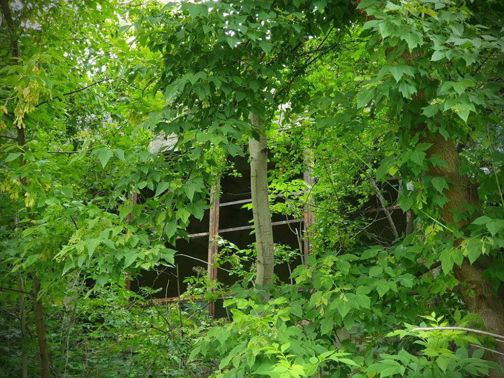 Hrubieszów: Tak dziś wygląda Hakon [ZDJĘCIA]