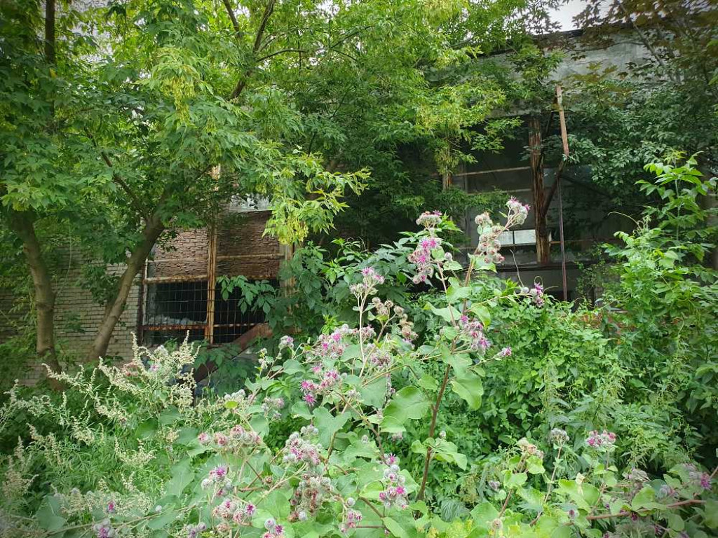 Hrubieszów: Tak dziś wygląda Hakon [ZDJĘCIA]