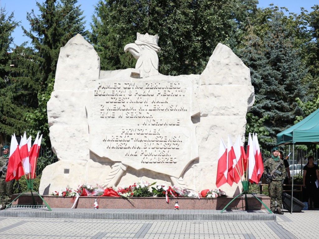 Obchody Święta Wojska Polskiego w Hrubieszowie [ZDJĘCIA]