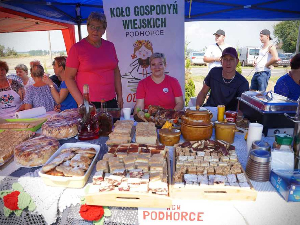 Dożynki w Terebiniu [ZDJĘCIA]