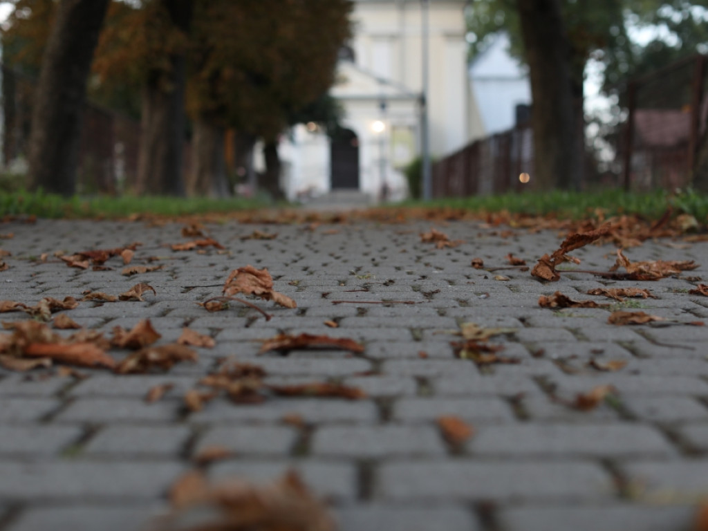 Gdzieś w Hrubieszowie... 28.09.2023 [ZDJĘCIA]