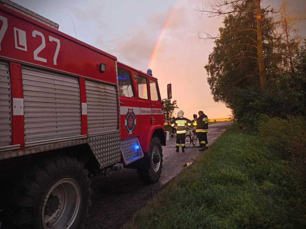 Powalone drzewo, zerwany dach... [ZDJĘCIA]