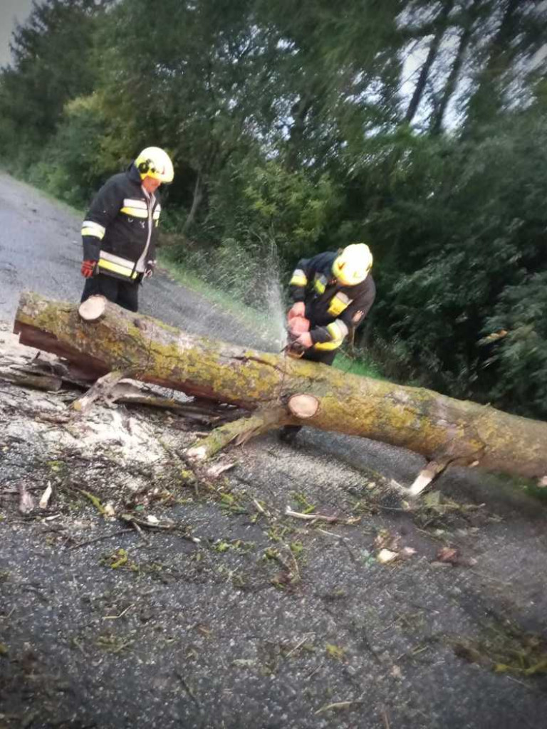 Powalone drzewo, zerwany dach... [ZDJĘCIA]
