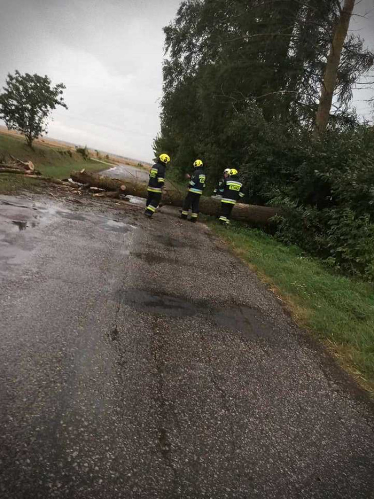 Powalone drzewo, zerwany dach... [ZDJĘCIA]