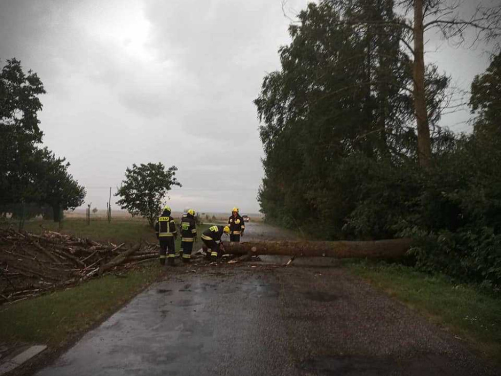 Powalone drzewo, zerwany dach... [ZDJĘCIA]