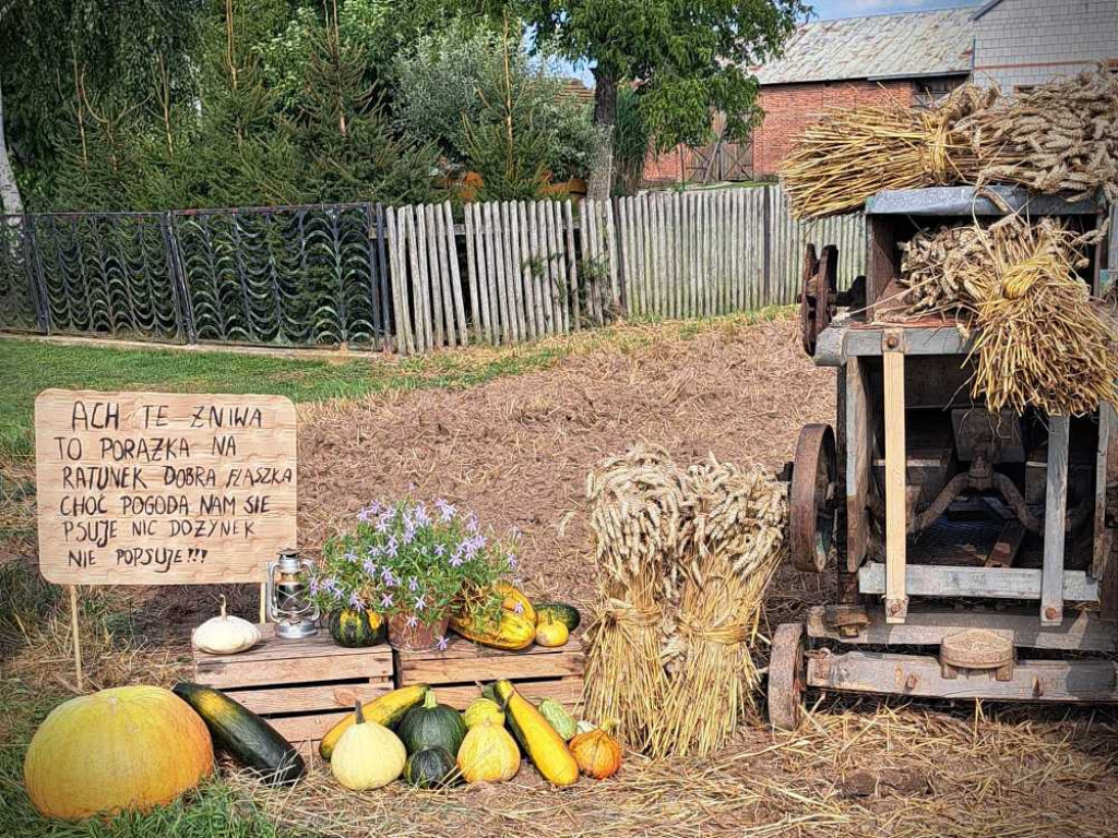 Dożynki w Mołożowie - dekoracje [ZDJĘCIA]