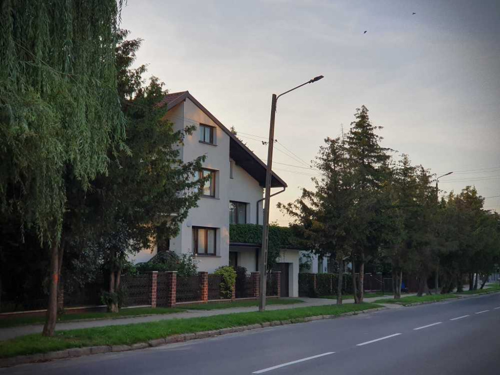 Hrubieszów: Drzewka do wycięcia...? [ZDJĘCIA]