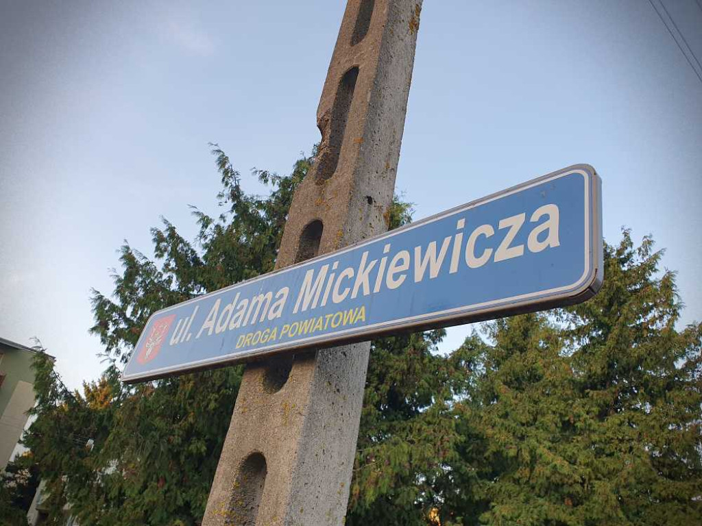 Hrubieszów: Drzewka do wycięcia...? [ZDJĘCIA]