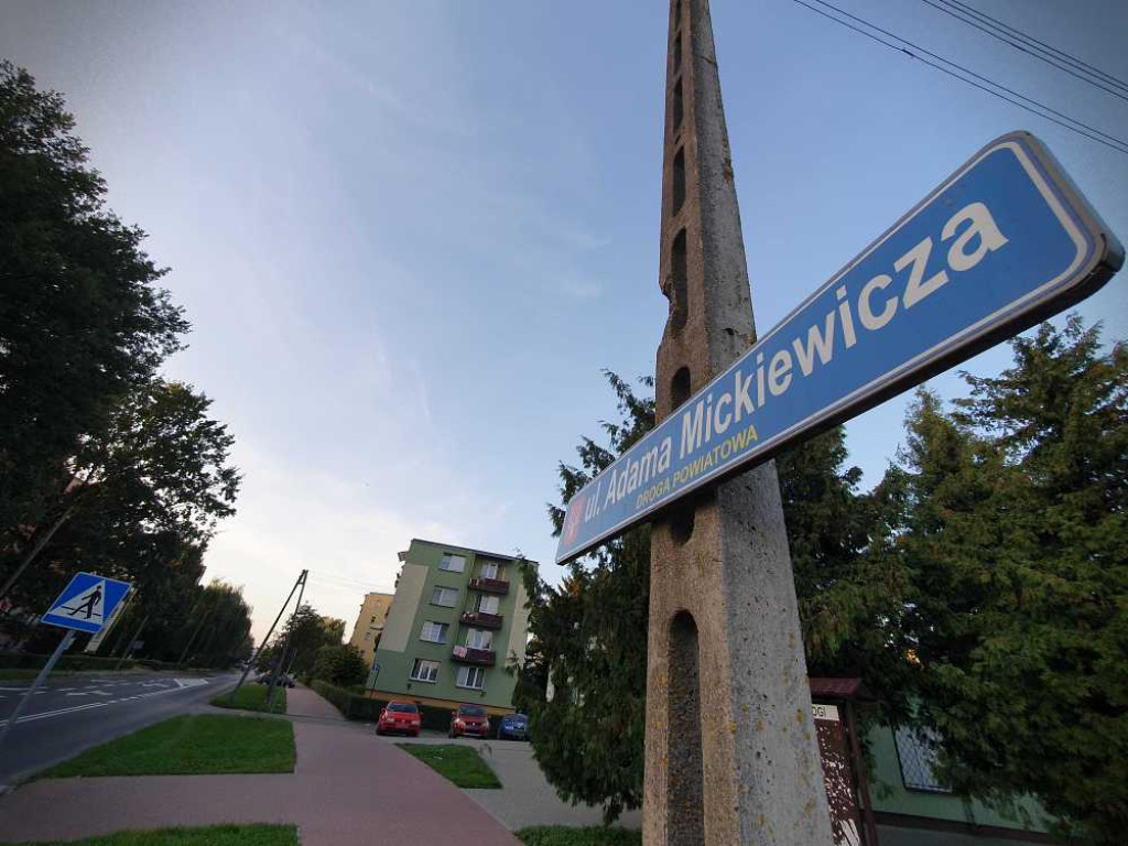 Hrubieszów: Drzewka do wycięcia...? [ZDJĘCIA]