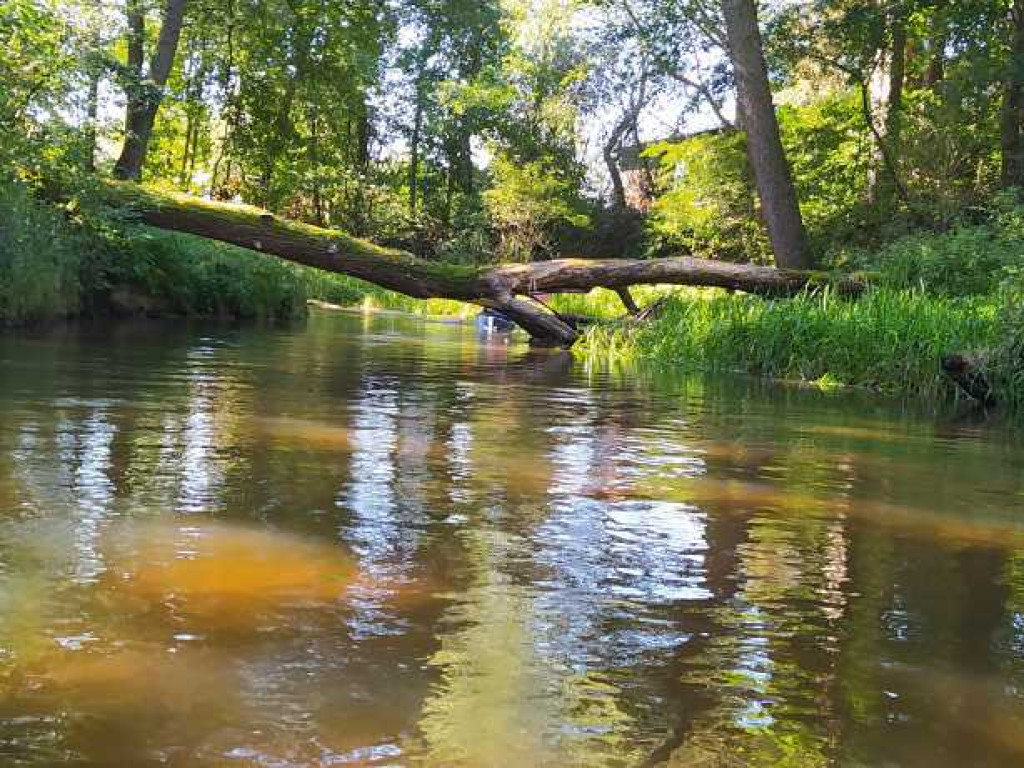 Hrubieszów: Poznawali uroki Roztocza [ZDJĘCIA]