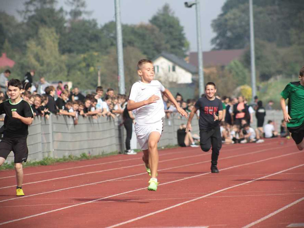 Ponad 500 osób wystartowało w Mistrzostwach Powiatu Hrubieszowskiego w Lekkiej Atletyce! [ZDJĘCIA]