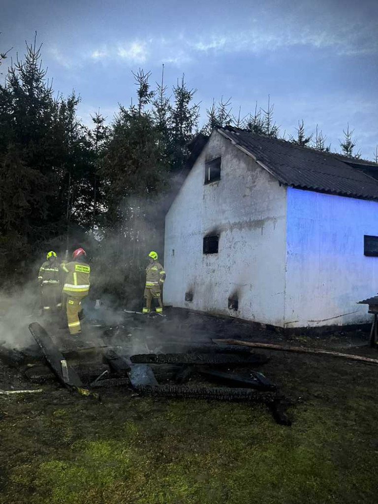 Pożar w miejscowości Hostynne Kolonia [ZDJĘCIA]