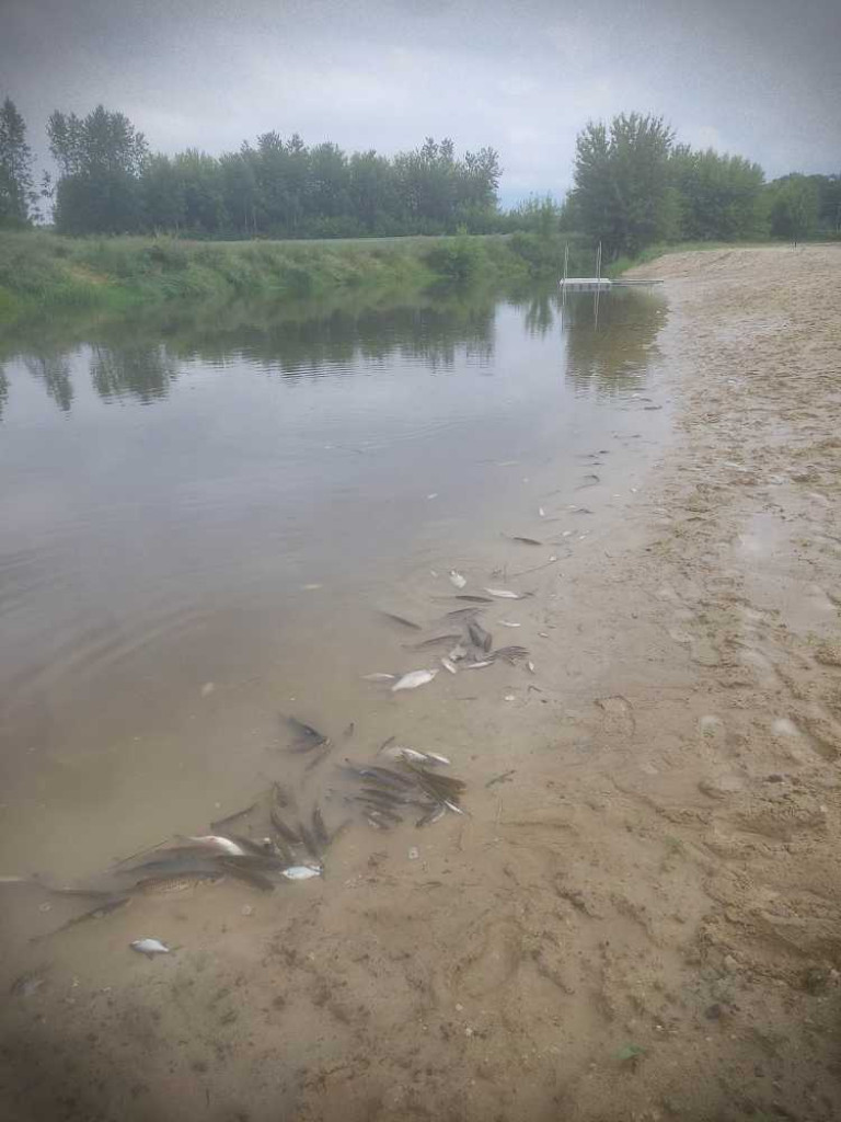 Hrubieszów: Ukarani mandatem, ale winnych zatrucia Huczwy nie widać
