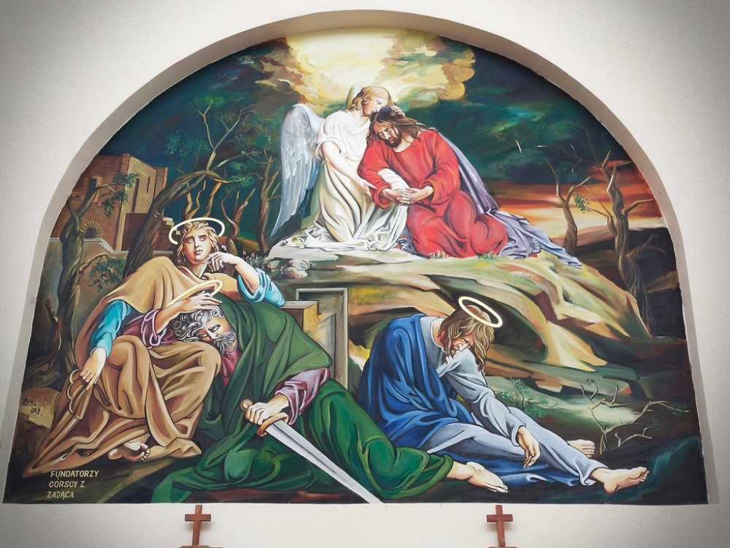 Hrubieszów: Pomoc dla zwierząt w Sokalu [ZDJĘCIA]