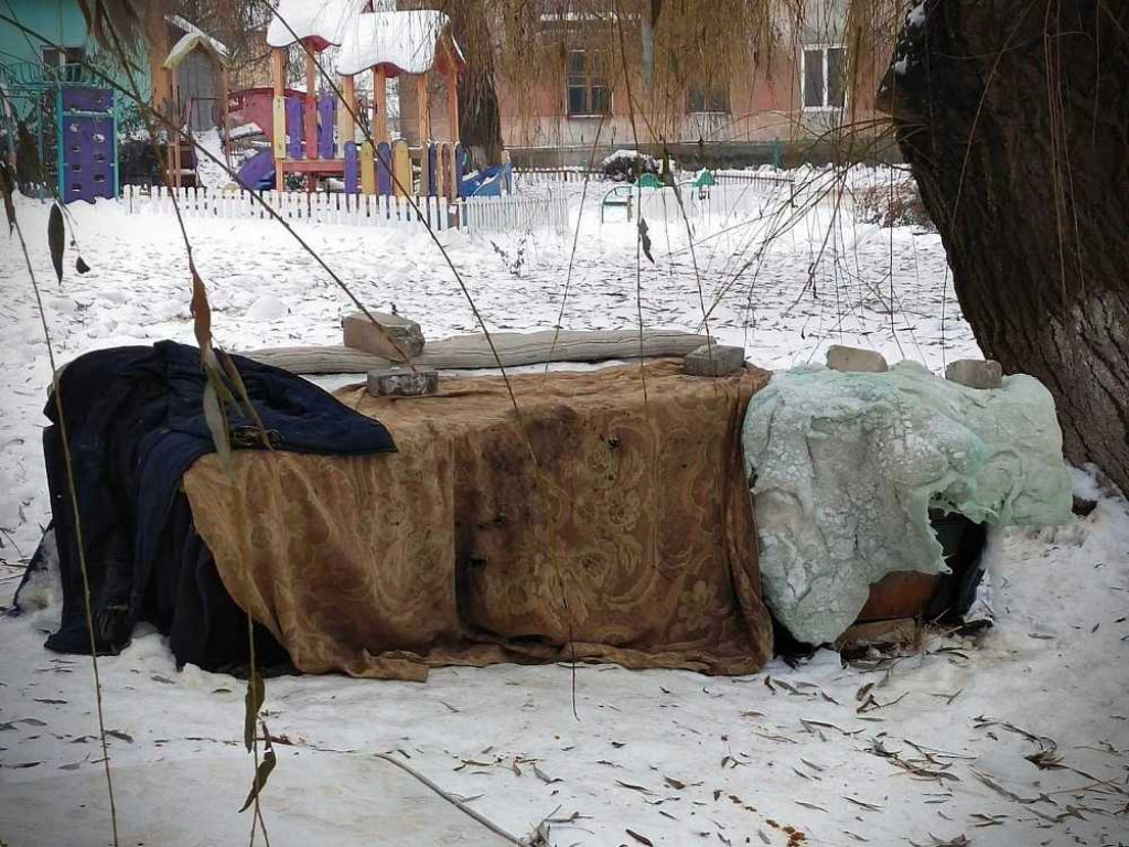 Hrubieszów: Pomoc dla zwierząt w Sokalu [ZDJĘCIA]